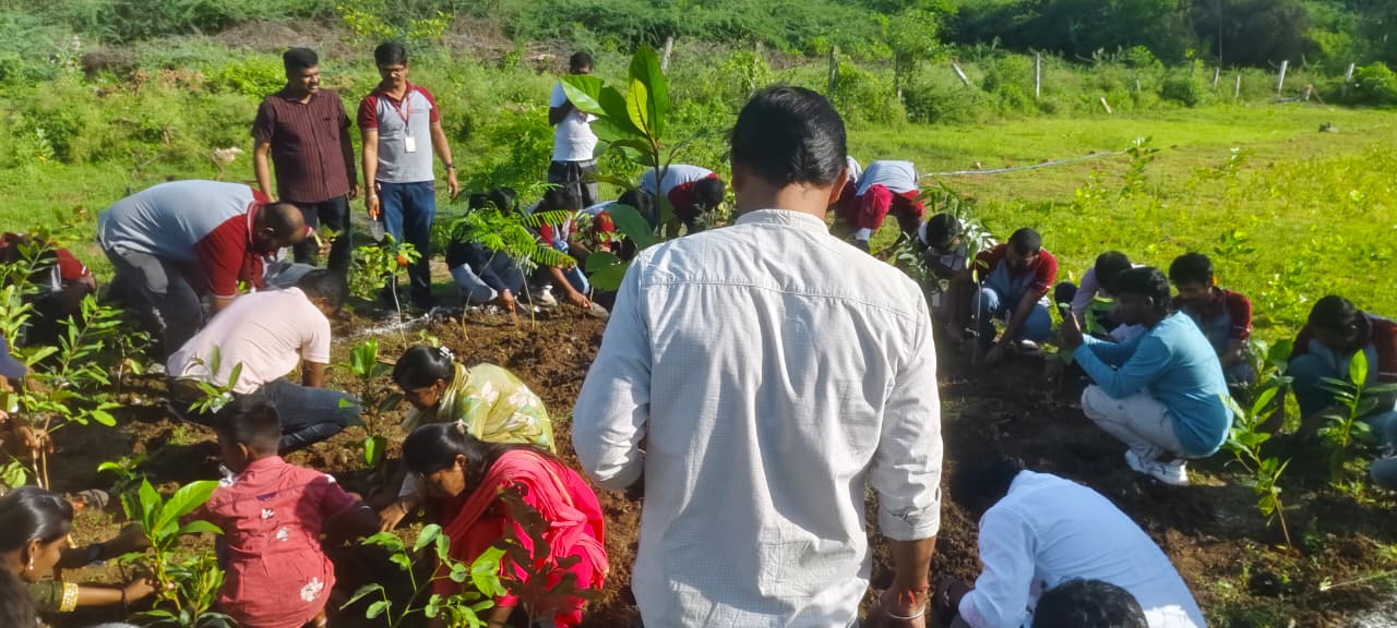 A large group of volunteers planting saplings together outdoors.