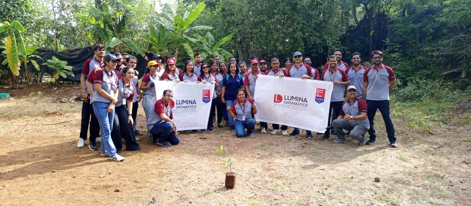Group of corporate employees posing with banners for plantation event.