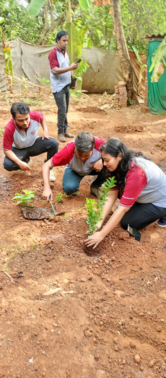 Group of workers planting saplings in a rural field