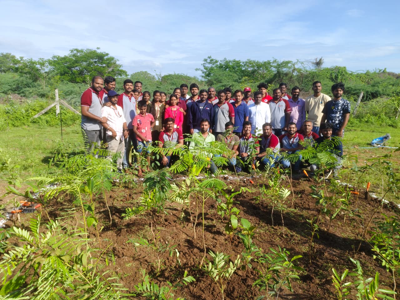 Large group of volunteers posing behind freshly planted saplings