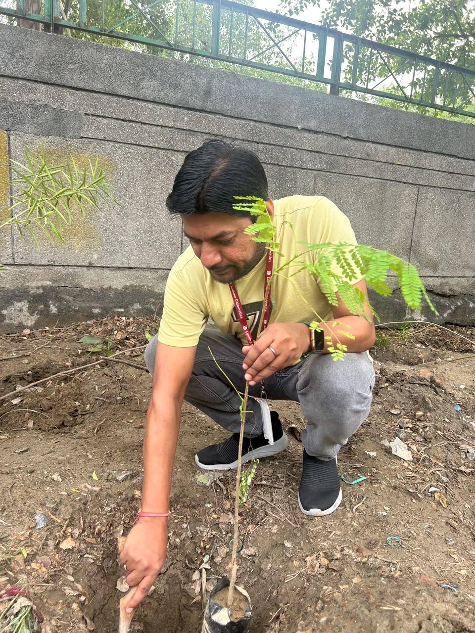 A volunteer worker planting a young tree in the soil