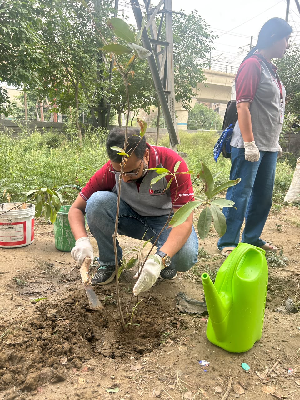 Volunteers participating in an outdoor tree plantation drive activity.
