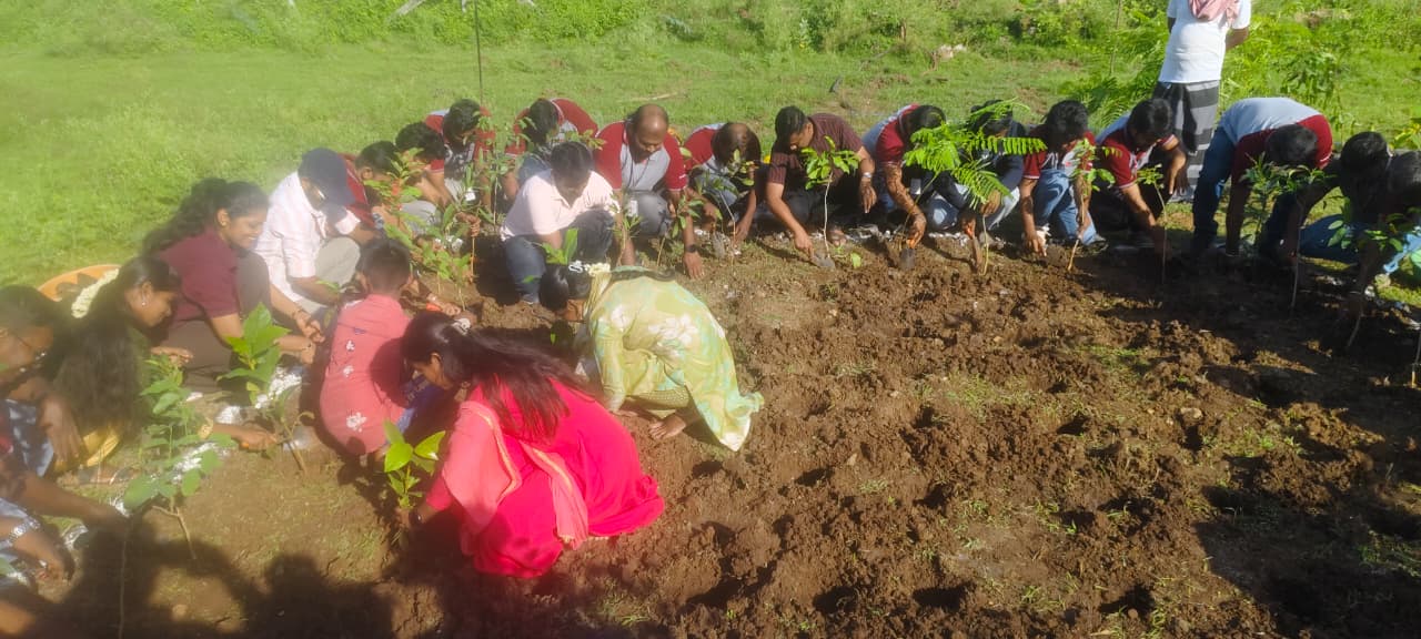Group of volunteers planting saplings during an environmental drive