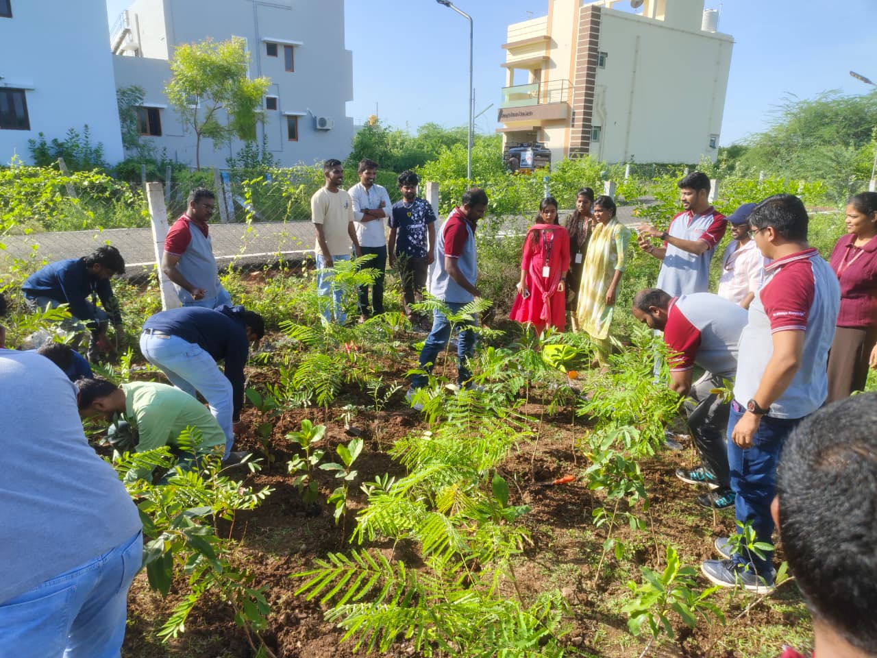 Group of volunteers planting saplings together during community event